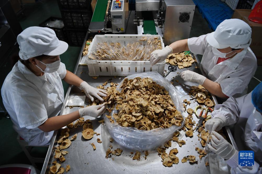 太阳集团娱乐网